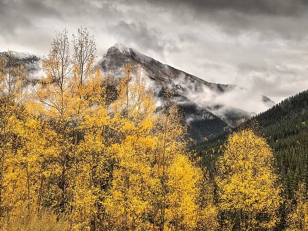USA, Colorado, Silverton, Clearing storm and fall color on the Alpine Loop