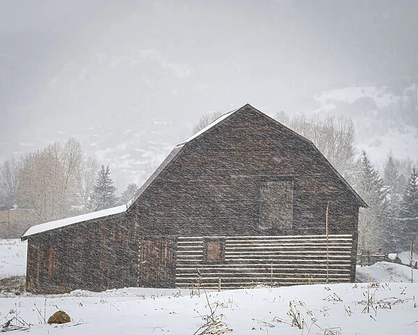 USA, Colorado, Steamboat Springs. Wooden barn in snowstorm