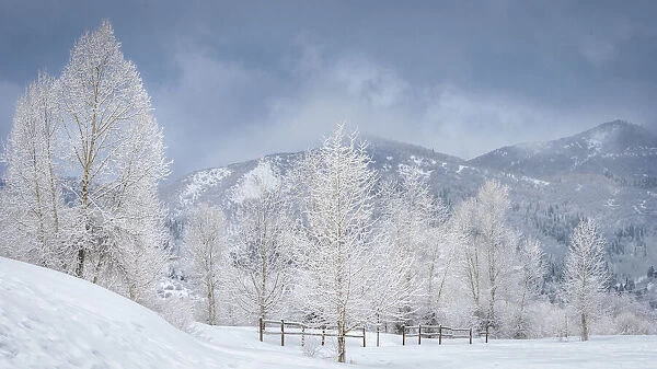 USA, Colorado, Steamboat Springs. Winter landscape