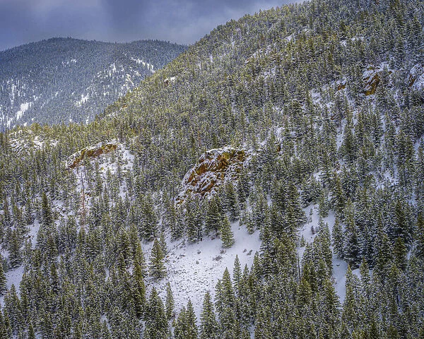 USA, Colorado, Steamboat Springs. Mountain and forest landscape in winter
