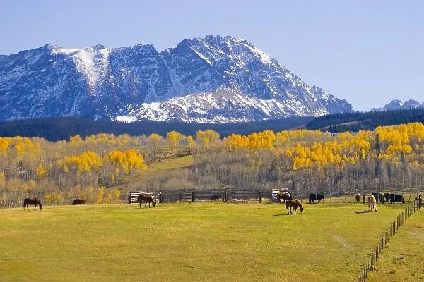 USA, Colorado, Summit County, Shadow Mountain Ranch. Horses grazing in idyllic autumn setting