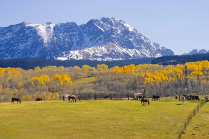 Framed Print : USA, Colorado, Summit County, Shadow Mountain Ranch. Horses grazing in idyllic autumn setting Framed Print : USA, Colorado, Summit County, Shadow Mountain Ranch. Horses grazing in idyllic autumn setting