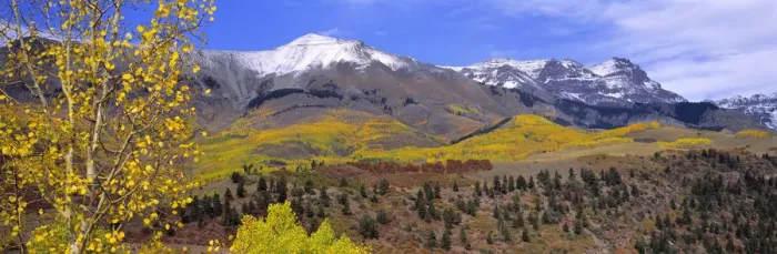 Framed Print : USA, Colorado, Telluride. Aspen forest reach far into the San Juan Mountains near Telluride Framed Print : USA, Colorado, Telluride. Aspen forest reach far into the San Juan Mountains near Telluride