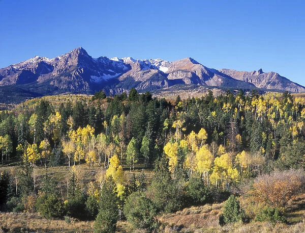 USA, Colorado, Uncompahgne NF, San Juan Mountains with Autumn Color