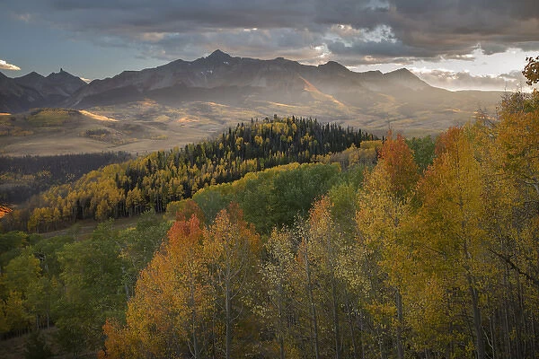 USA, Colorado, Uncompahgre National Forest. Mountains and autumn-colored forests
