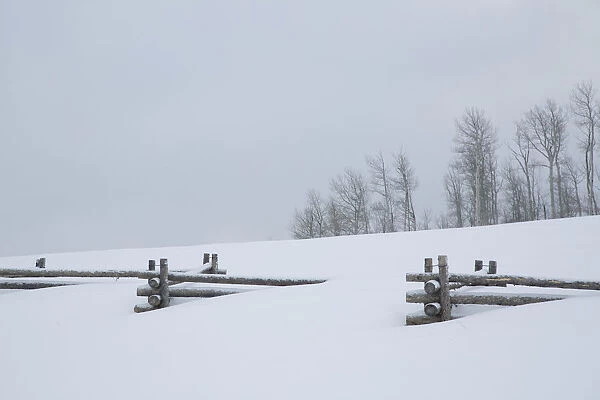 USA, Colorado, Uncompahgre National Forest. Fence buried in deep snow. Credit as
