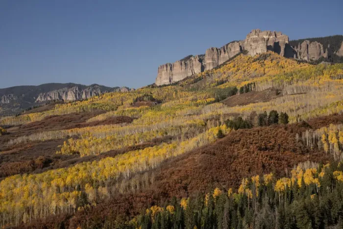 Framed Print : USA, Colorado, Uncompahgre National Forest. Cimarron Ridge and forest in autumn Framed Print : USA, Colorado, Uncompahgre National Forest. Cimarron Ridge and forest in autumn