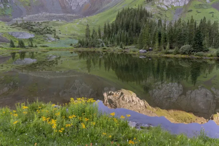 Framed Print : USA, Colorado, Uncompahgre National Forest. Mountain wildflowers and pond landscape Framed Print : USA, Colorado, Uncompahgre National Forest. Mountain wildflowers and pond landscape