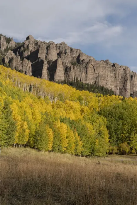 Framed Print : USA, Colorado, Uncompahgre National Forest. Mountain and forest in autumn Framed Print : USA, Colorado, Uncompahgre National Forest. Mountain and forest in autumn