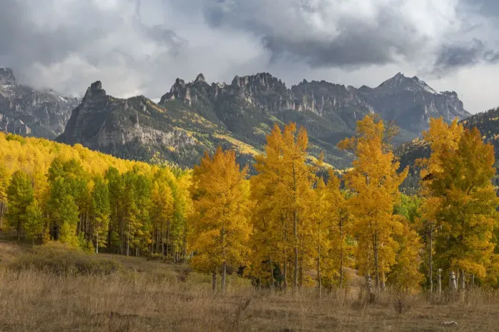 Framed Print : USA, Colorado, Uncompahgre National Forest. Mountain and forest in autumn Framed Print : USA, Colorado, Uncompahgre National Forest. Mountain and forest in autumn