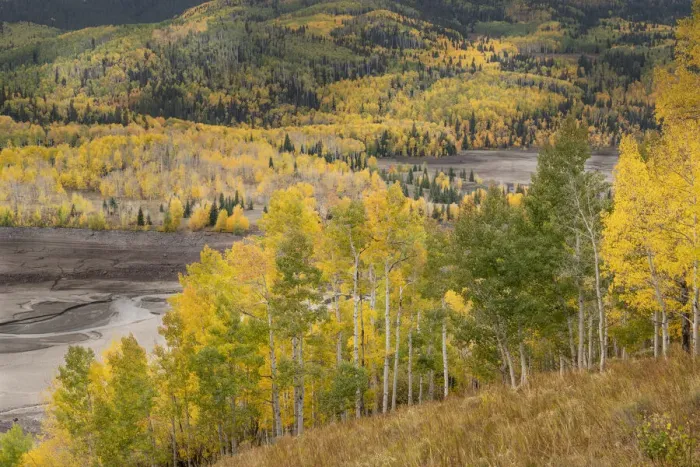 Framed Print : USA, Colorado, Uncompahgre National Forest. Mountain aspens in autumn color Framed Print : USA, Colorado, Uncompahgre National Forest. Mountain aspens in autumn color