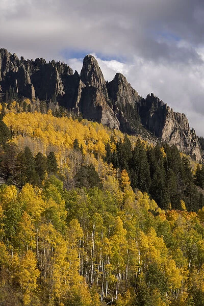 USA, Colorado, Uncompahgre National Forest. Mountain and forest in autumn