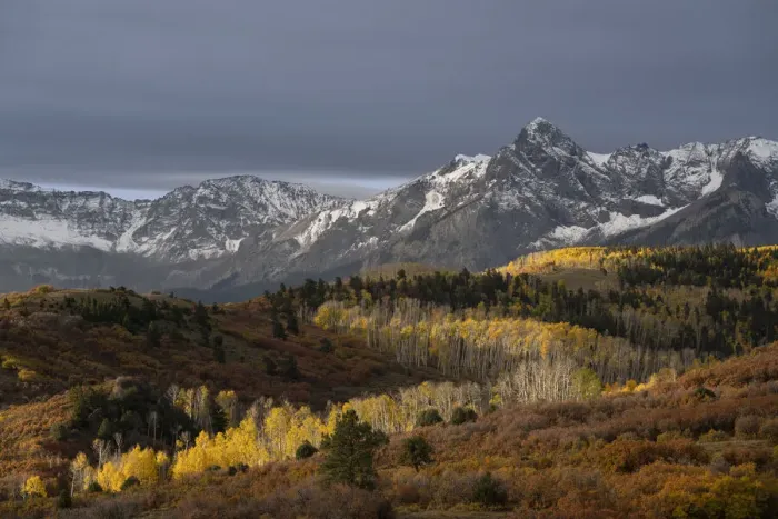 Framed Print : USA, Colorado, Uncompahgre National Forest. Snowy Sneffels Range and autumn forest