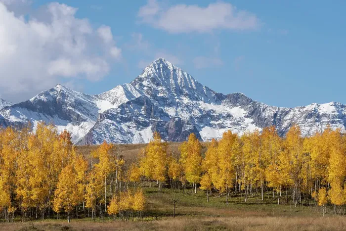 Framed Print : USA, Colorado, Uncompahgre National Forest. Wilson Peak and grove of aspen trees in autumn Framed Print : USA, Colorado, Uncompahgre National Forest. Wilson Peak and grove of aspen trees in autumn