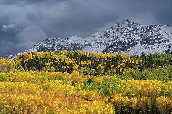USA, Colorado, Uncompahgre National Forest. Storm clouds above Wilson Peak and autumn aspen forest