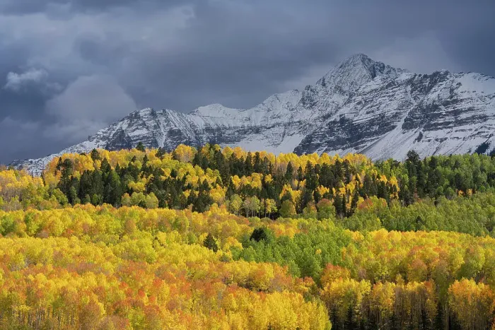 Framed Print : USA, Colorado, Uncompahgre National Forest. Storm clouds above Wilson Peak and autumn aspen forest Framed Print : USA, Colorado, Uncompahgre National Forest. Storm clouds above Wilson Peak and autumn aspen forest