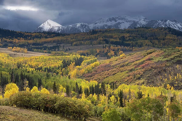 USA, Colorado, Uncompahgre National Forest. Storm spotlight shines on Dolores Peak in autumn