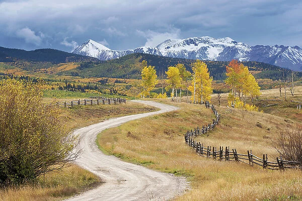 USA, Colorado, Uncompahgre National Forest. Landscape with county road and San Juan Mountains