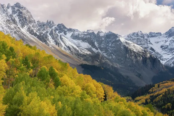 Framed Print : USA, Colorado, Uncompahgre National Forest. San Juan Mountains and aspen forest in autumn Framed Print : USA, Colorado, Uncompahgre National Forest. San Juan Mountains and aspen forest in autumn