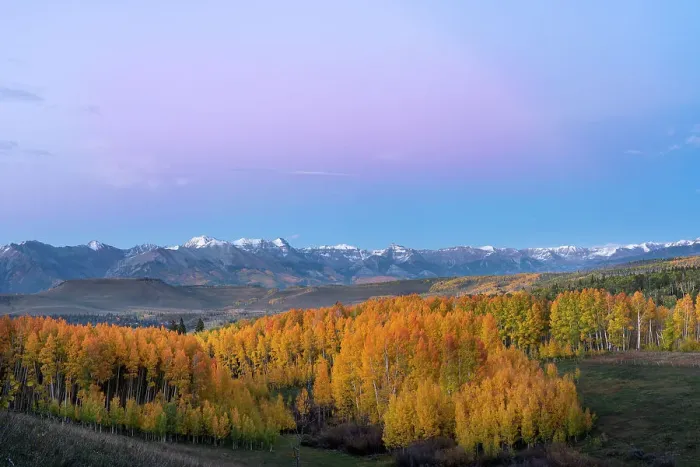Framed Print : USA, Colorado, Uncompahgre National Forest. San Juan Mountains and aspen forest in autumn Framed Print : USA, Colorado, Uncompahgre National Forest. San Juan Mountains and aspen forest in autumn