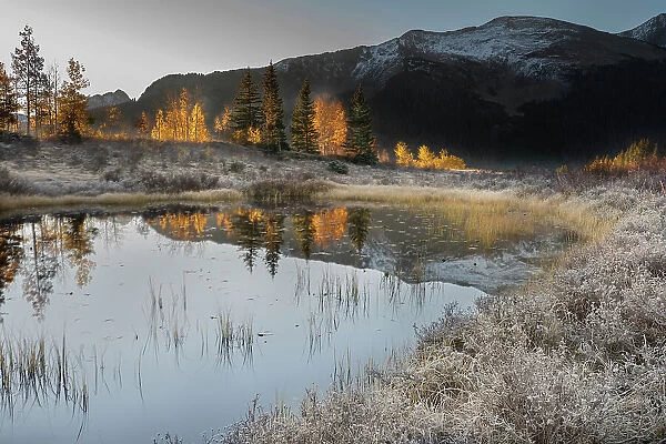 USA, Colorado, Uncompahgre National Forest. Pond reflections on frosty sunrise