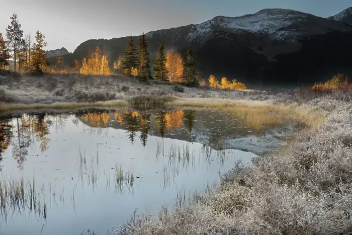Framed Print : USA, Colorado, Uncompahgre National Forest. Pond reflections on frosty sunrise
