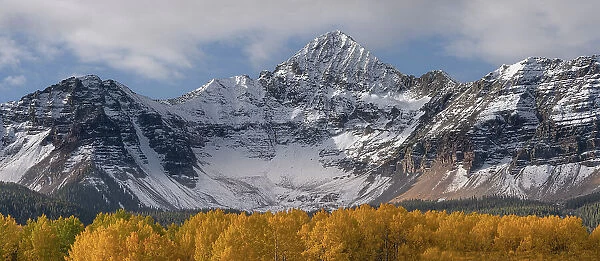 USA, Colorado, Uncompahgre National Forest. Wilson Peak and aspen forest in autumn