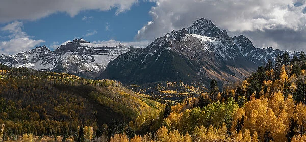 USA, Colorado, Uncompahgre National Forest. Mt Sneffels and aspen forest in autumn