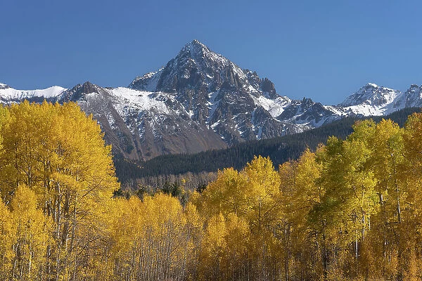 USA, Colorado, Uncompahgre National Forest. Aspens and mountains in autumn