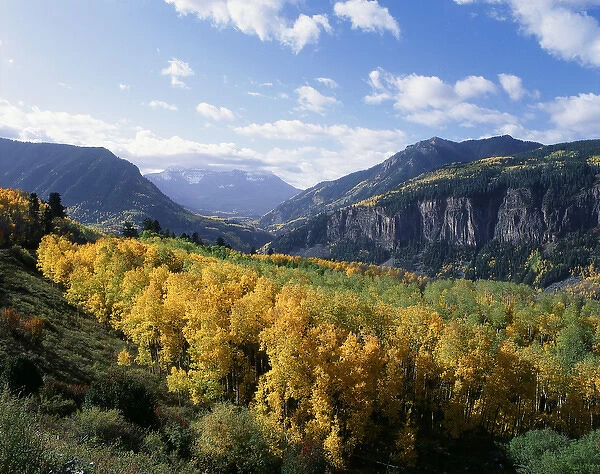 USA, Colorado, View of San Juan Mountains Range with aspen trees in autumn