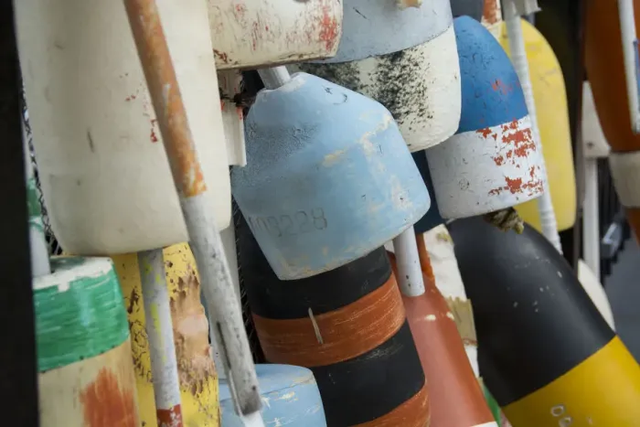Framed Print : USA, Colorful fishing floats and buoys Framed Print : USA, Colorful fishing floats and buoys