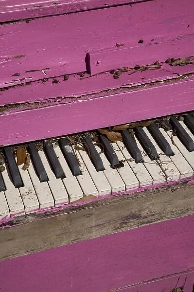 USA, Darien. Old weathered pink piano. (PR)