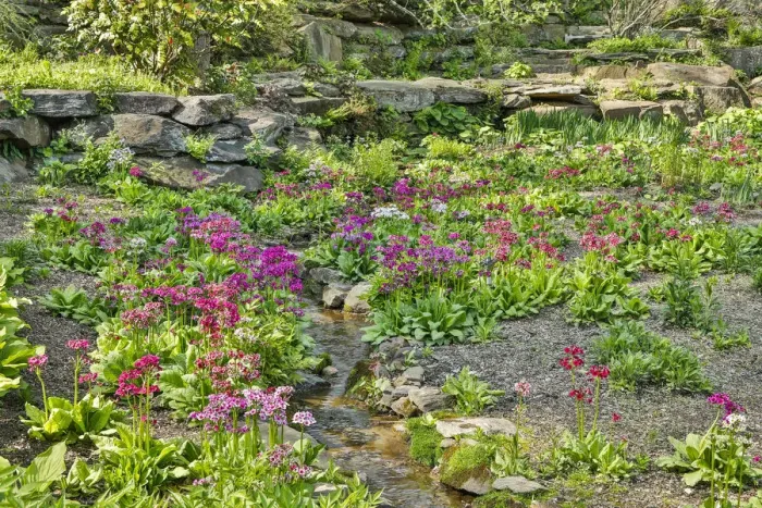 Framed Print : USA, Delaware, Wilmington. Brook running between rocks and flowers Framed Print : USA, Delaware, Wilmington. Brook running between rocks and flowers