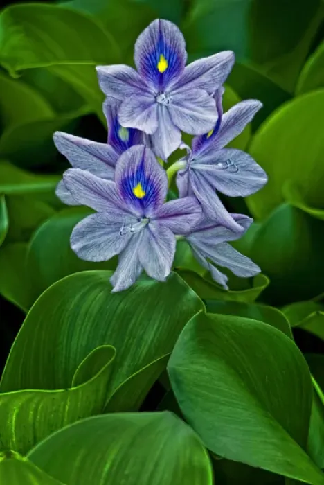Framed Print : USA, Delaware, Wilmington. Credit as: Jay O Brien  /  Jaynes Gallery  /  DanitaDelimont