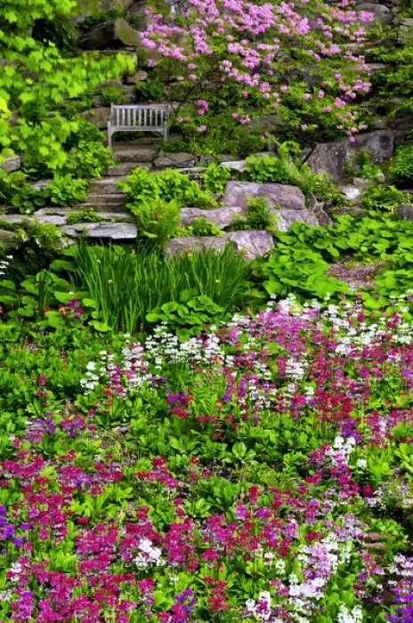 Framed Print : USA, Delaware, Wilmington, Quarry Garden