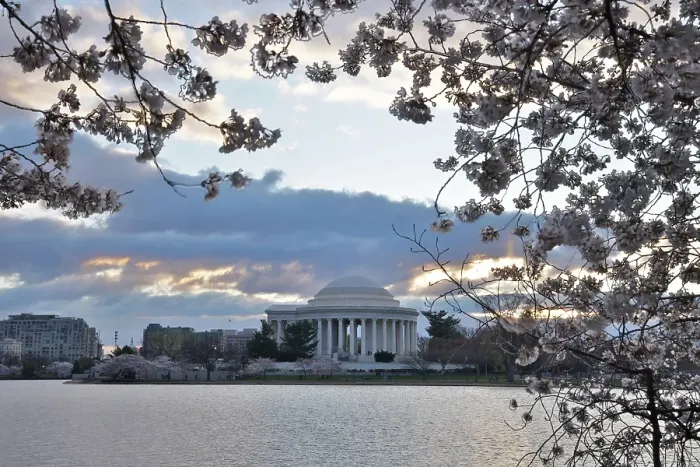 Framed Print : USA, District of Columbia. Jefferson Memorial at Cherry Blossom Time
