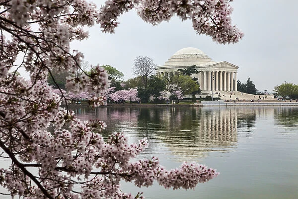 USA, District of Columbia, Washingon, Jefferson Memorial and Tidal Basin with Cherry