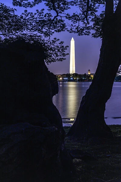 Usa, District of Columbia. Washington Monument in evening light