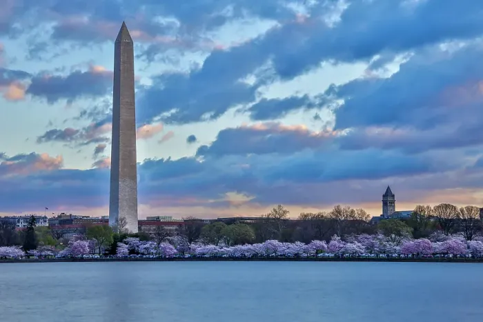 Framed Print : USA, District of Columbia. Washington Monument at Cherry Blossom Time Framed Print : USA, District of Columbia. Washington Monument at Cherry Blossom Time