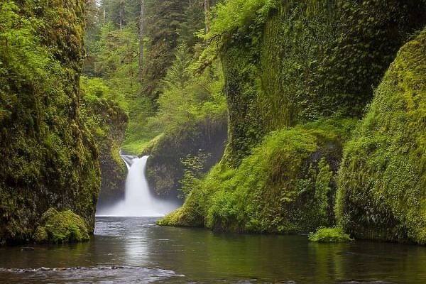 USA, Eagle Creek, Columbia Gorge, Oregon. Punchbowl Falls on Eagle Creek