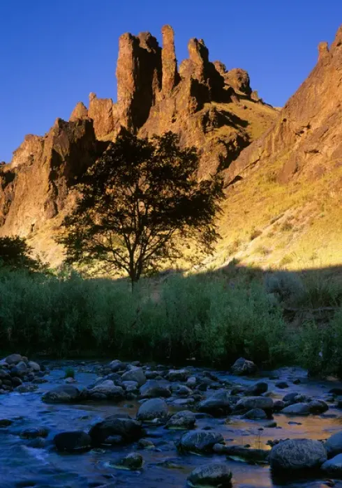 Framed Print : USA, Eastern Oregon, Owyhee area, Cliffs above a small stream in Leslie Gulch Framed Print : USA, Eastern Oregon, Owyhee area, Cliffs above a small stream in Leslie Gulch