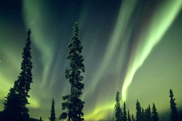 USA, Fairbanks area, Central Alaska, Aurora Borealis, Northern Lights, major solar flare event