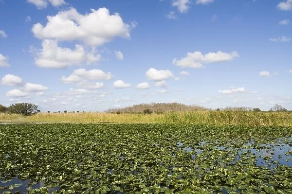 USA, Florida, Big Cypress Seminole Reservation: Everglades View