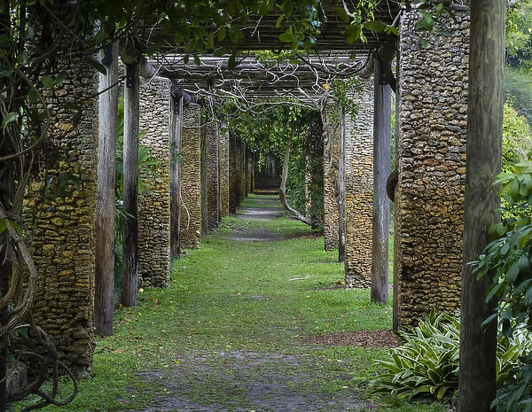 USA, Florida, Coral Gables. Vine Pergola; Fairchild Tropical Botanic Garden