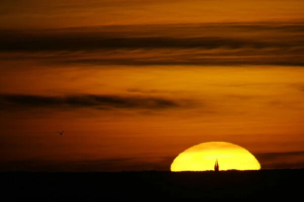 USA, Florida, Fort De Soto Park. Sun at sunset silhouettes sailboat and bird in flight