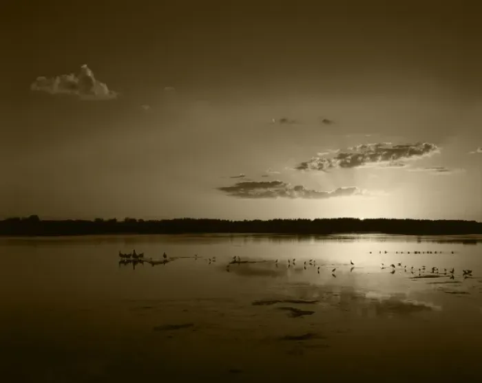 Framed Print : USA, Florida, J. N. Ding Darling National Wildlife Refuge, Birds in water at sunset Framed Print : USA, Florida, J. N. Ding Darling National Wildlife Refuge, Birds in water at sunset