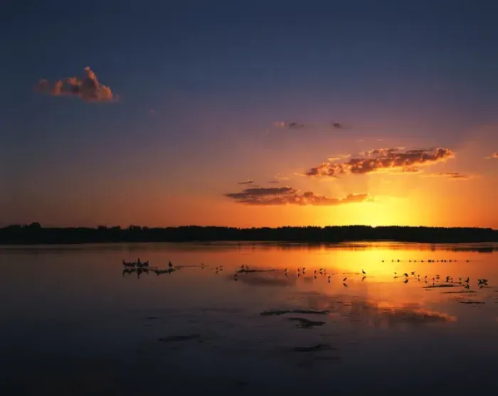 Framed Print : USA, Florida, J. N. Ding Darling National Wildlife Refuge, Birds in water at sunset Framed Print : USA, Florida, J. N. Ding Darling National Wildlife Refuge, Birds in water at sunset
