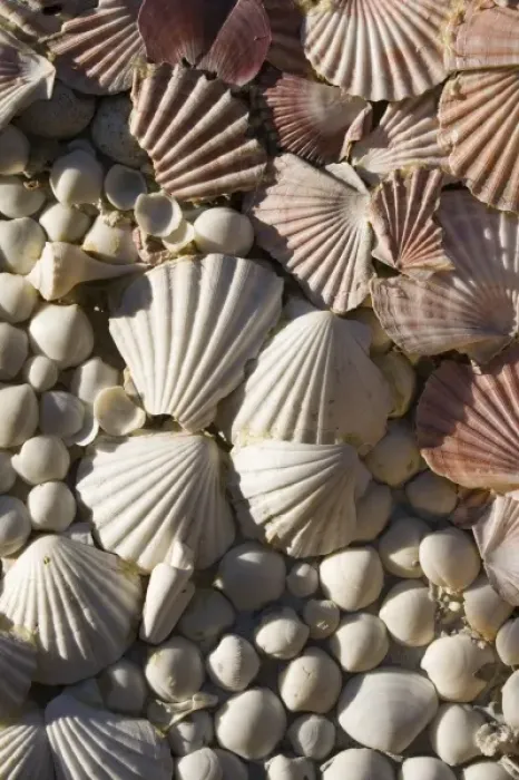 Framed Print : USA, Florida, Miami Beach: Lincoln Road, Seashell Detail Framed Print : USA, Florida, Miami Beach: Lincoln Road, Seashell Detail
