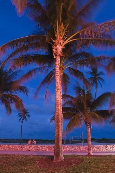 USA, Florida, Miami Beach: South Beach, South Beach Palms  /  Evening