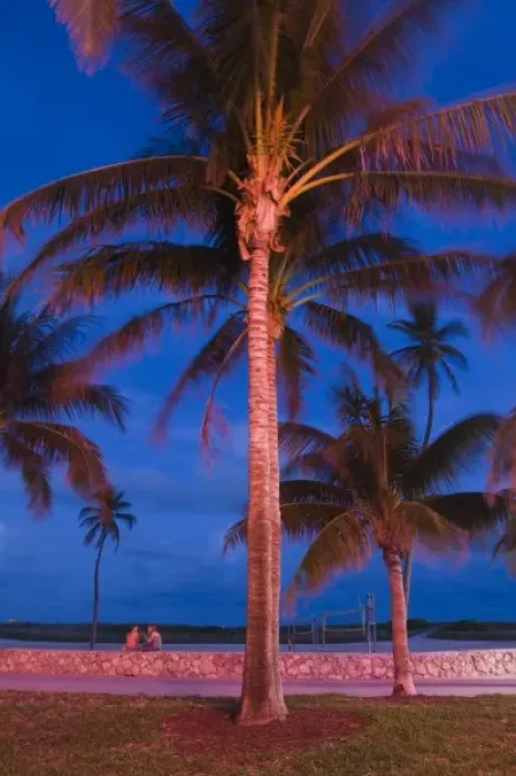 Framed Print : USA, Florida, Miami Beach: South Beach, South Beach Palms  /  Evening